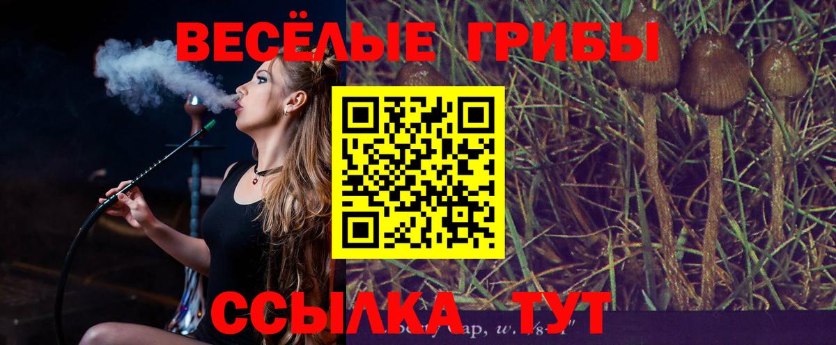 Галлюциногенные грибы Cubensis  Вход с VPN  Истра  Псилоцибиновые грибы мухоморы 